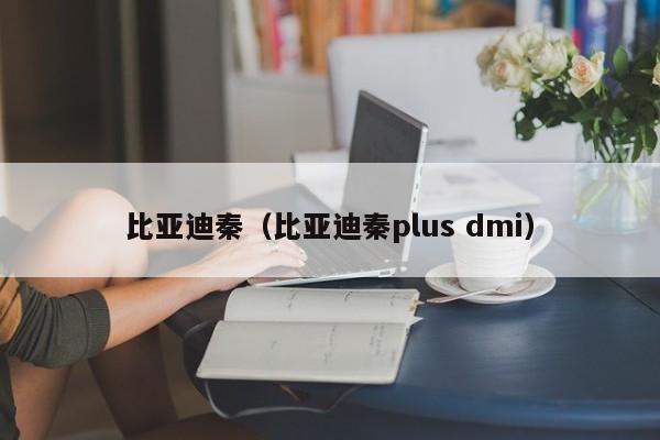 比亚迪秦（比亚迪秦plus dmi）