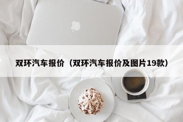 双环汽车报价（双环汽车报价及图片19款）