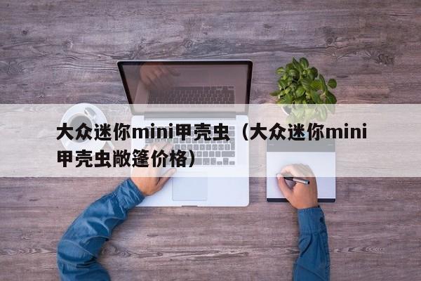 大众迷你mini甲壳虫（大众迷你mini甲壳虫敞篷价格）