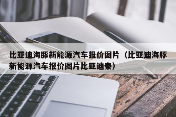 比亚迪海豚新能源汽车报价图片（比亚迪海豚新能源汽车报价图片比亚迪秦）