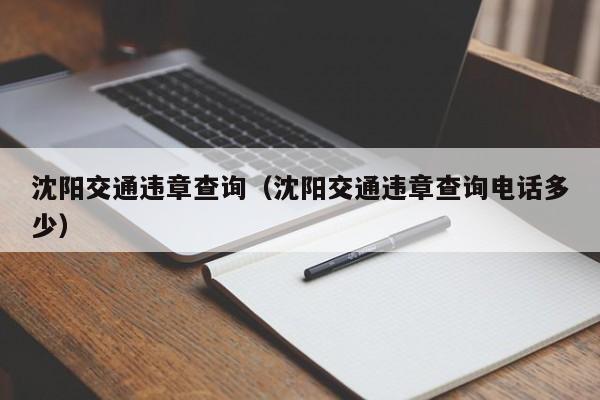 沈阳交通违章查询（沈阳交通违章查询电话多少）