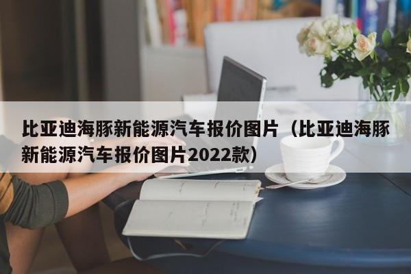 比亚迪海豚新能源汽车报价图片（比亚迪海豚新能源汽车报价图片2022款）