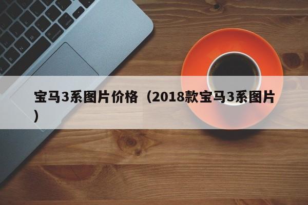 宝马3系图片价格（2018款宝马3系图片）