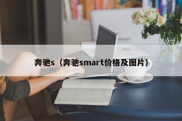 奔驰s（奔驰smart价格及图片）