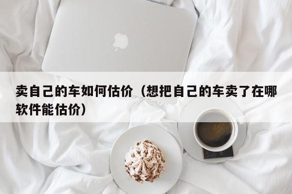 卖自己的车如何估价（想把自己的车卖了在哪软件能估价）