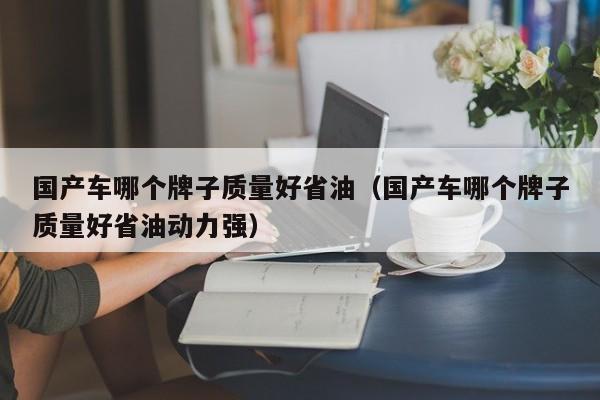 国产车哪个牌子质量好省油（国产车哪个牌子质量好省油动力强）