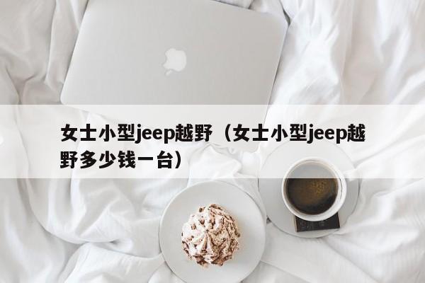 女士小型jeep越野（女士小型jeep越野多少钱一台）